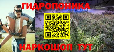 сатива Бузулук