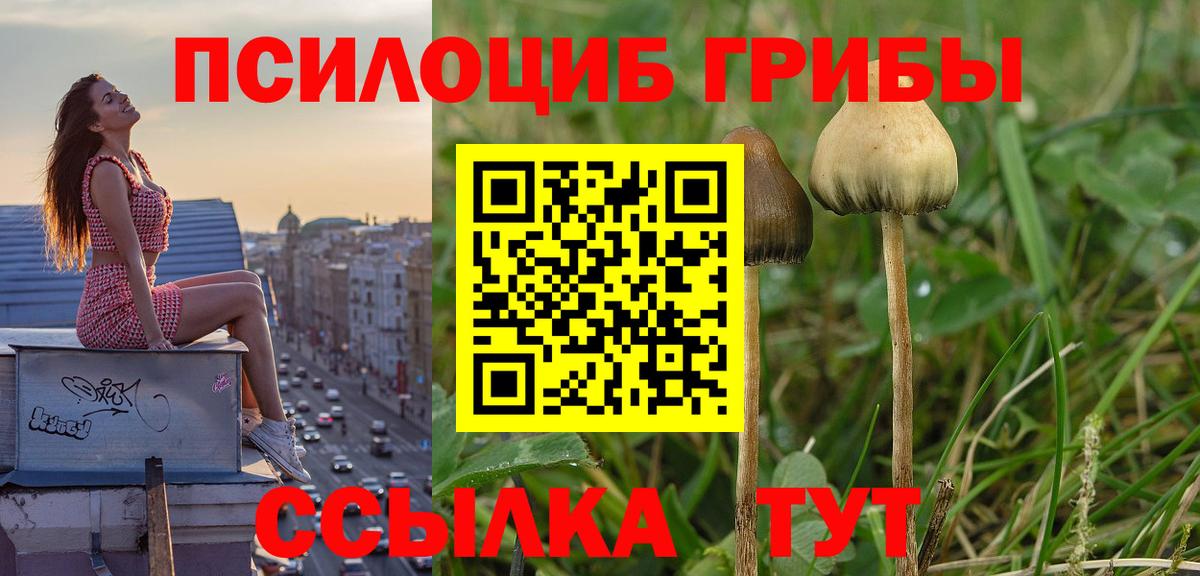 Галлюциногенные грибы мицелий  Вход с VPN  Галлюциногенные грибы MAGIC MUSHROOMS  Черкесск 